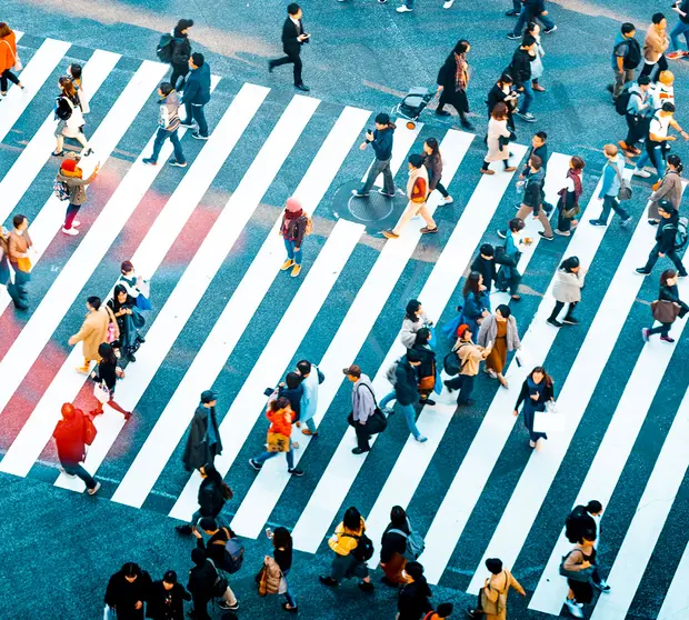 people walking on crosswalks